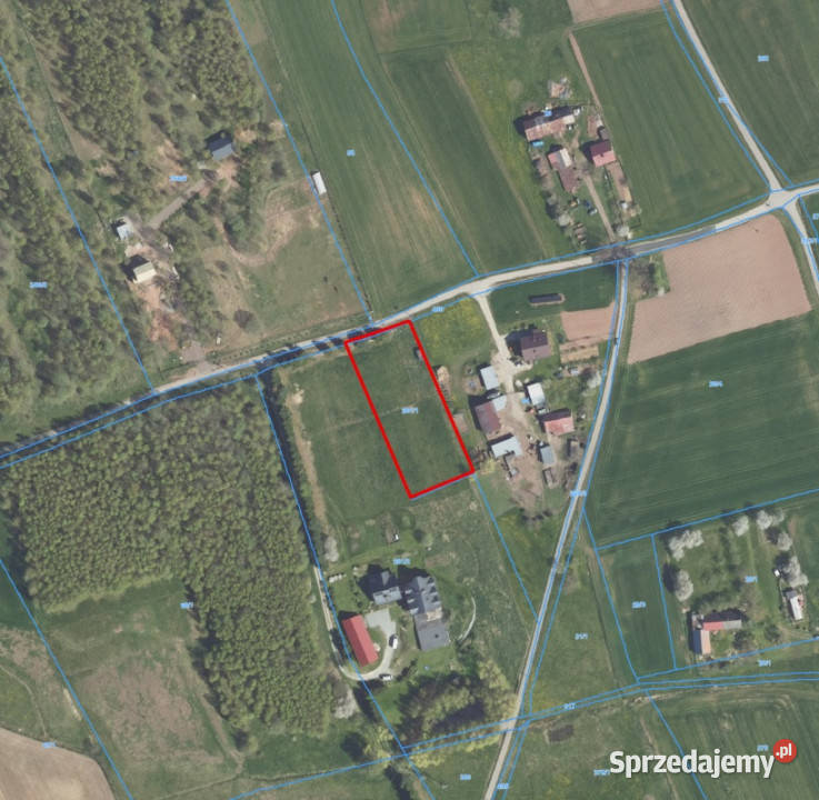 Sprzedam działkę obok PolanicyZdrojuSUDETYGORY Sprzedaż dolnośląskie Niwa