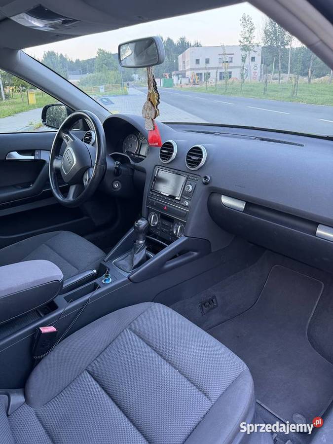 Audi a3 8p 16 TDI COMMON RAIL LIFT diesel Orzesze
