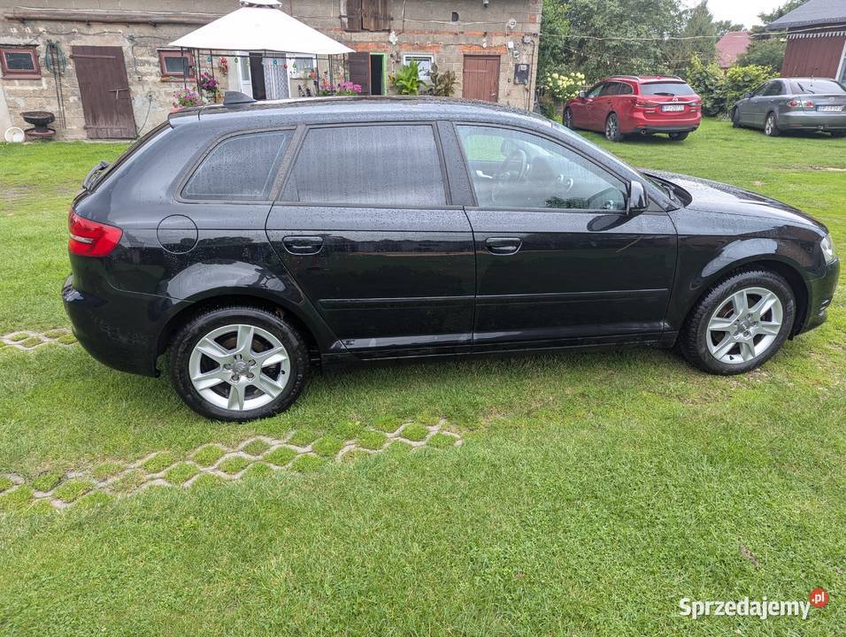 Audi A3 16 MPI LED LPG Lift A3 Wiewiec