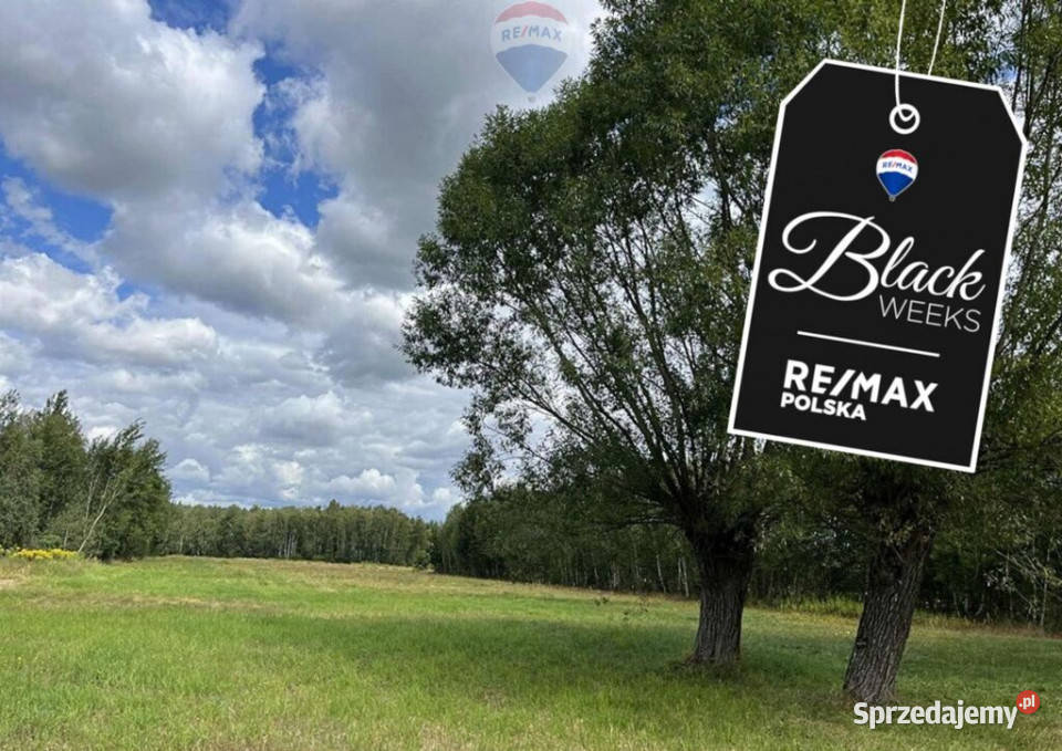 Działka siedliskowa w Pustelniku Pustelnik