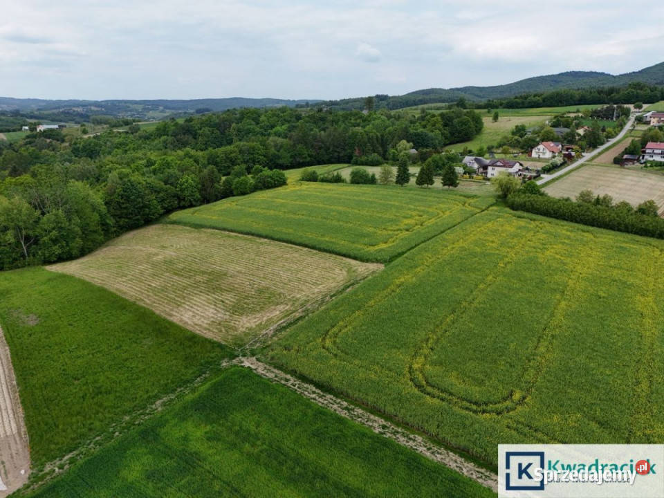 Działka Jabłonica 3393m2 28m Sprzedaż