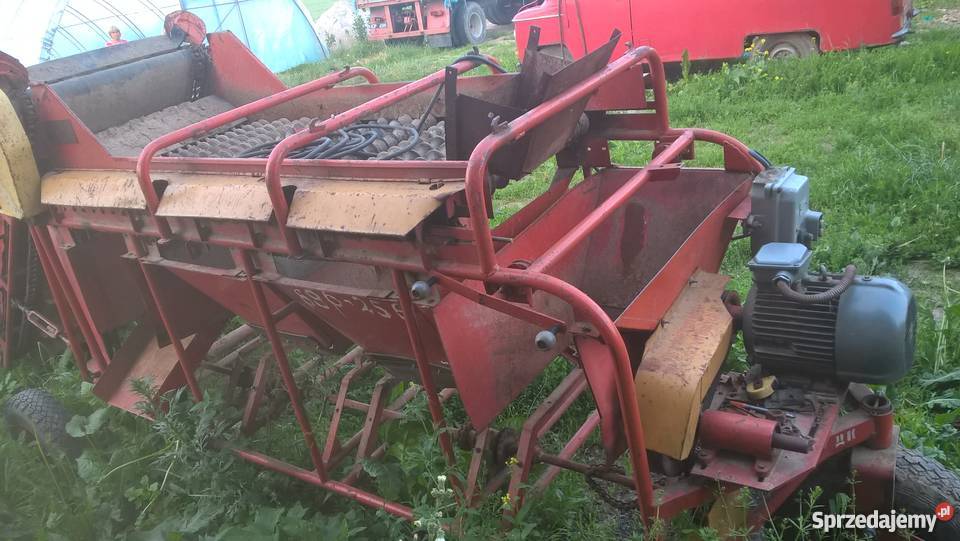 Sortownik do ziemniaków rosyjski Pacanów