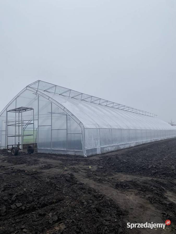 szklarnia