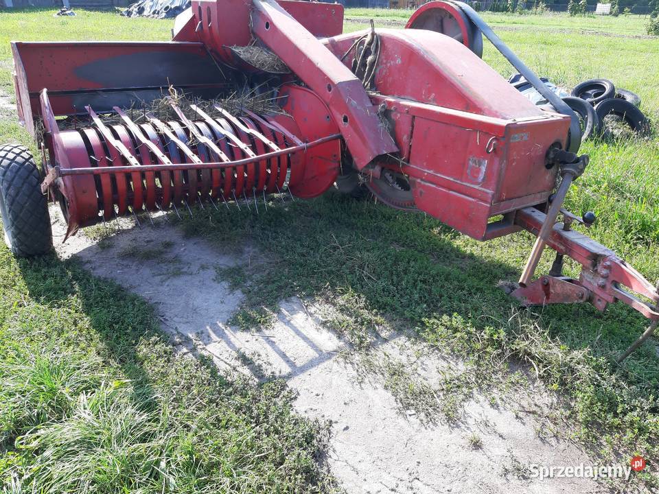 Sprzedam Prase Welger