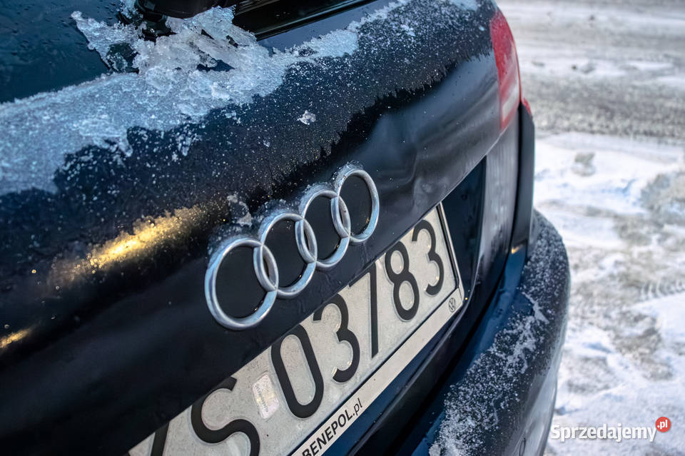 Audi A3 8P 20 20 TDI 140 DSG AUTOMAT Bogate 258678km Kościerzyna