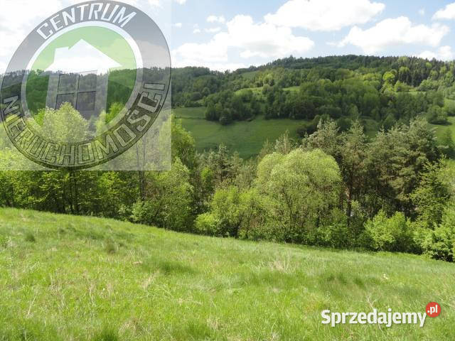 sprzedaży gruntu 3800m2 Ochotnica Dolna