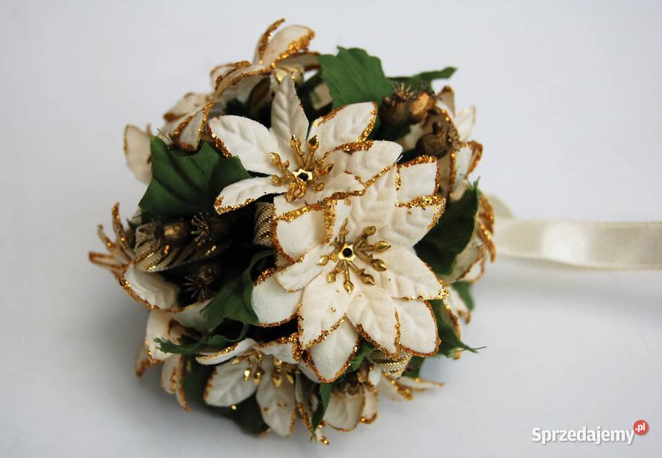 Kula roślinna biała gwiazda betlejemska Lublin