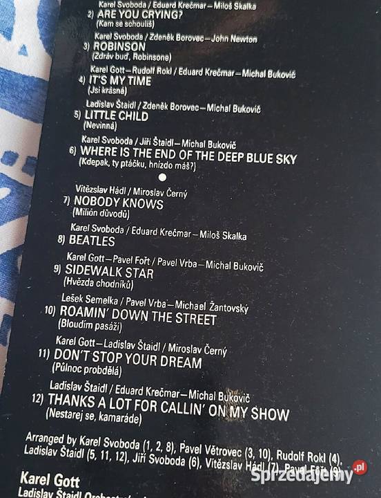 Karel Gott My Czech Goldies 1984 płyta w stanie płyta winylowa Płyty i kasety Chełmno