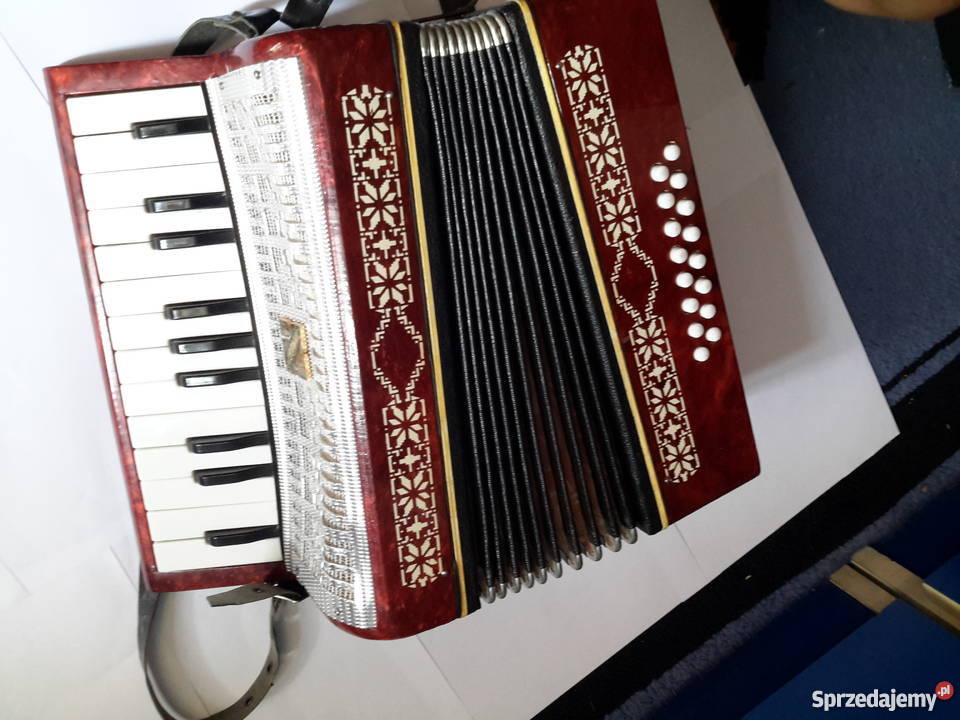 Mały akordeon Staszów