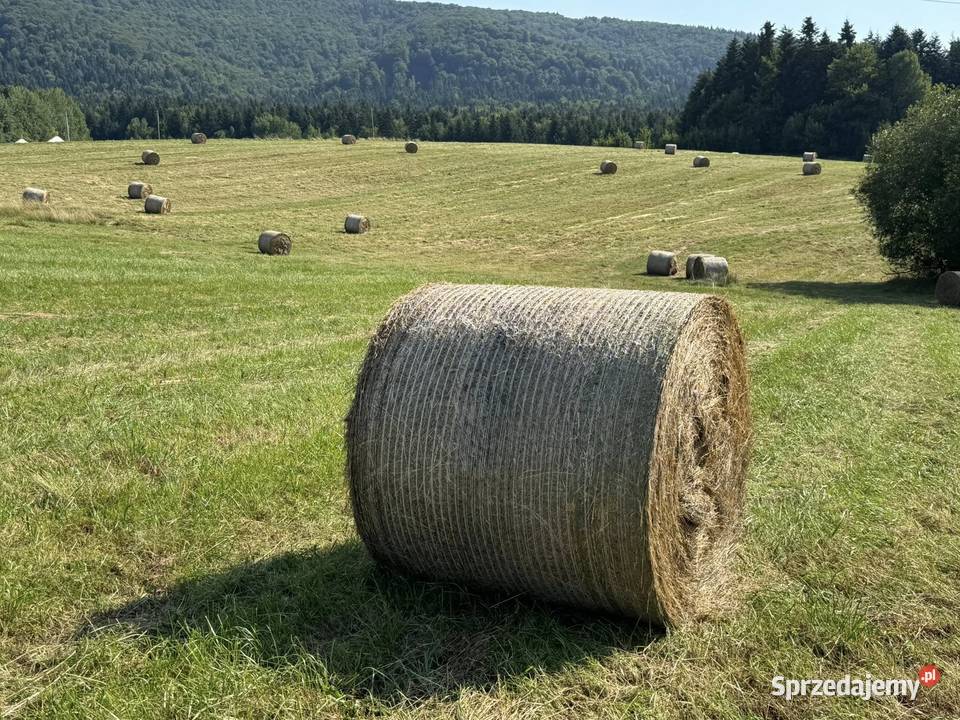 Siano Bele siana 120x130 TRANSPORT Kasina Wielka