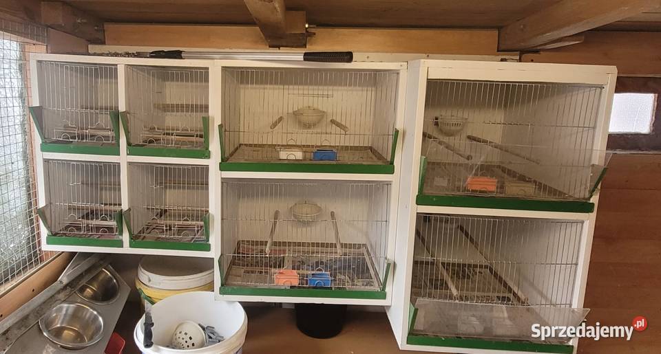 Klatki regały Kanarków