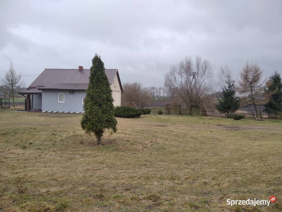 Pielęgnacja ogrodów ogrodnictwo mazowieckie Strzegowo