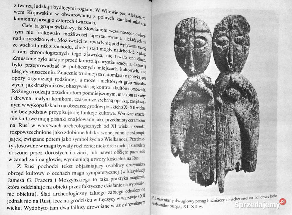 Mitologia Słowian Aleksander Gieysztor Pozostałe