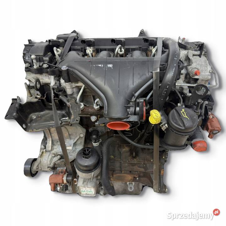 SILNIK G6DA Ford C C 20 TDCI 136 G6DB G6DD G6DG Chełm