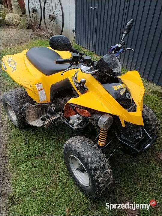 Quad Can-Am DS 250