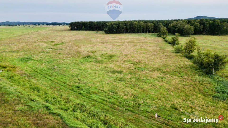 sprzedaży gruntu Smołdziński Las 250m