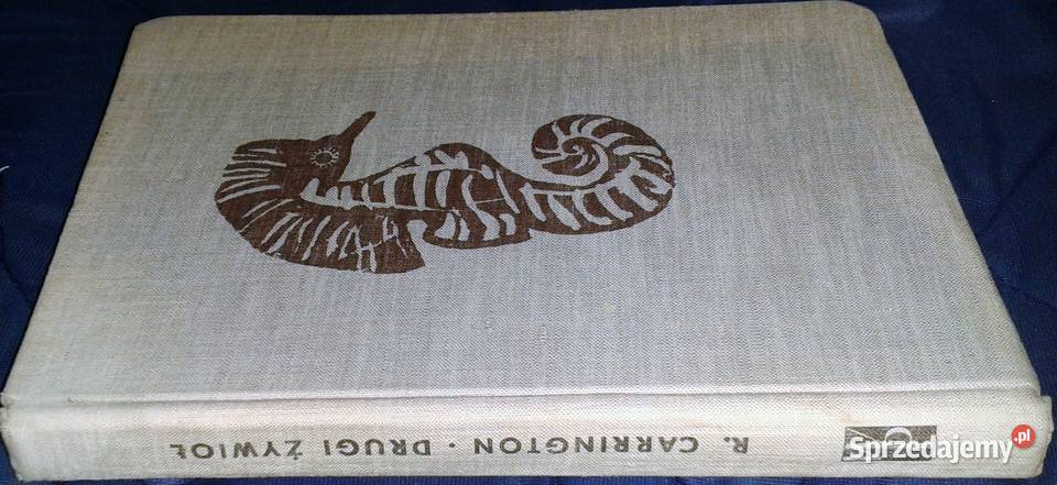 Drugi żywioł Richard Carrington Chełm