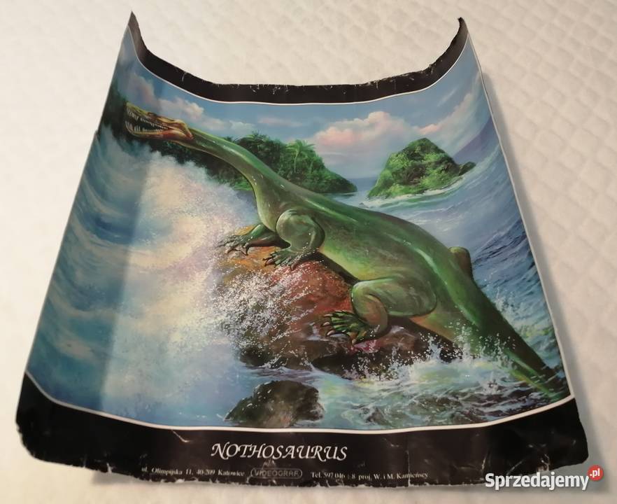 Plakat Nothosaurus Videograf 335 x 33 Kolekcje Czeladź