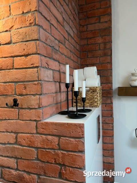 Lico ceglane Plytki ceglane dekor ceglany stare Bydgoszcz