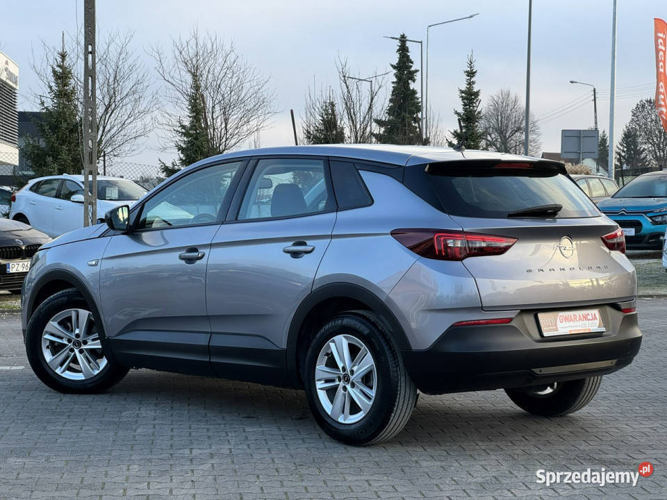 Opel Grandland FILMBezwypadkowyNiski Suchy Las