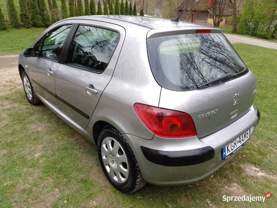 Peugeot 307 2005r Benzynka 1400 16V podkarpackie Jasło