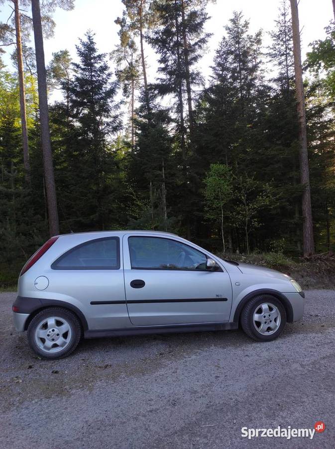 Opel Corsa C samochód nieuszkodzony podkarpackie Dębica