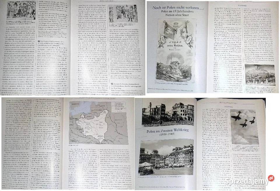 Polnische Geschichte und deutschpolnische Pozostałe
