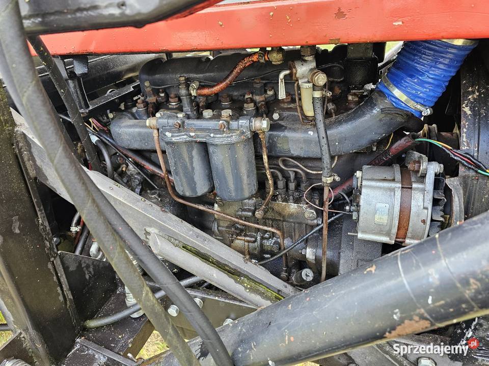 Zetor Cristal 8011 Baniocha