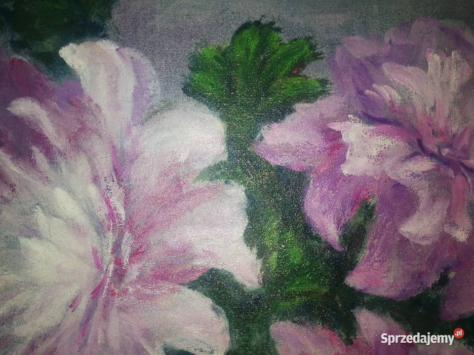 Bukiet pelargonii obraz olejny na płótnie