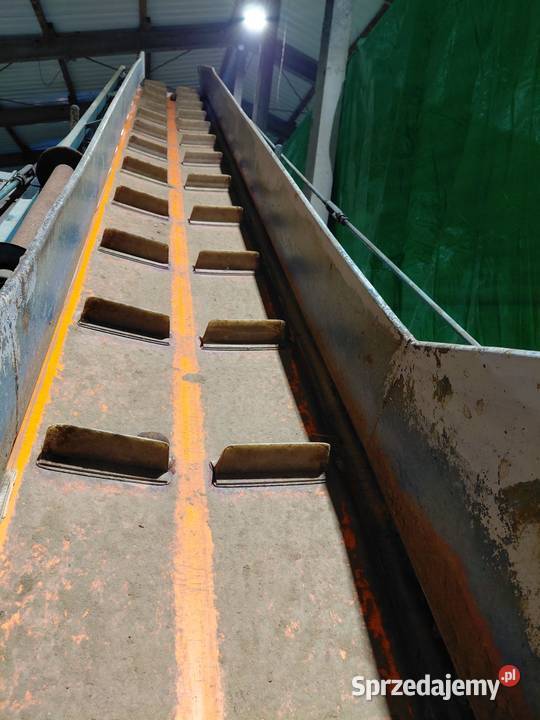 Sprzedam Mobilny Podajnik Pryzmownik Taśmociąg Świecie