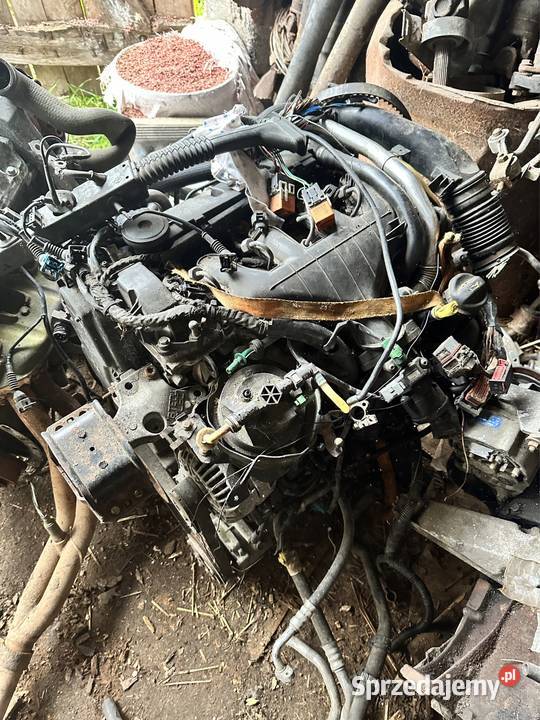 Peugeot 307 20 hdi silnik części Bydgoszcz
