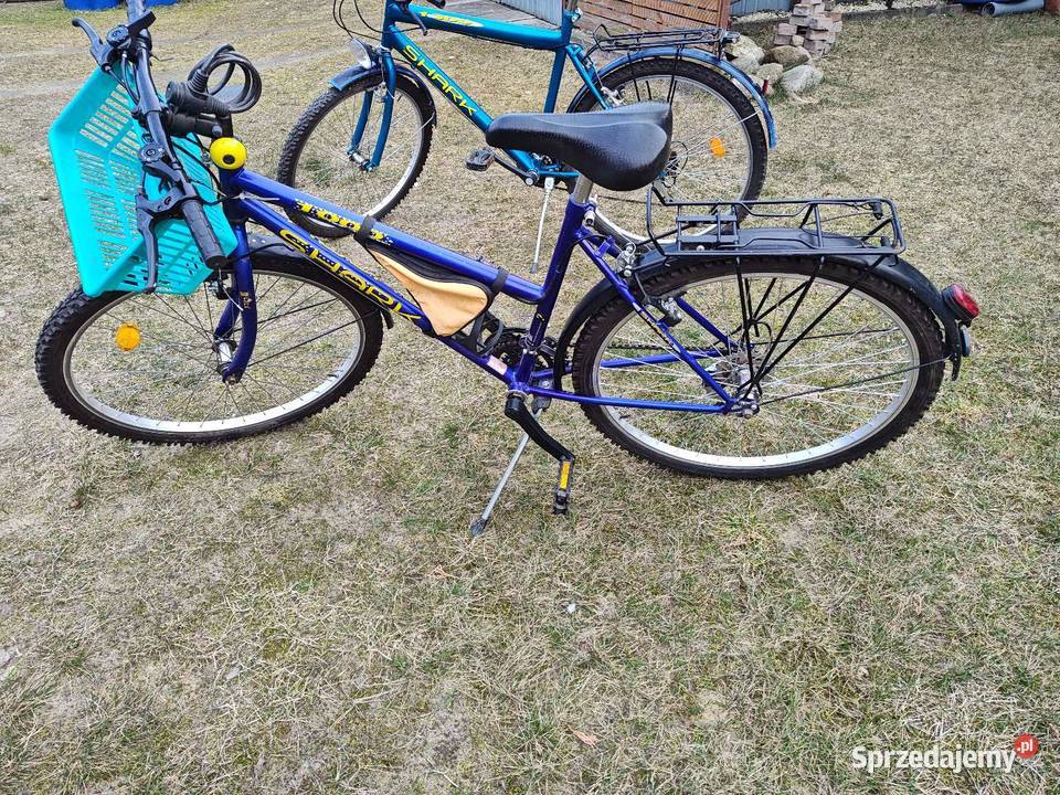 Rower męski i damski Shark