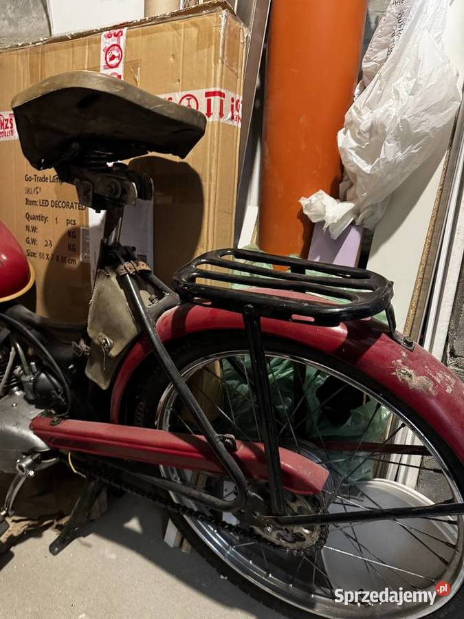 Romet sztywniak Różnowo