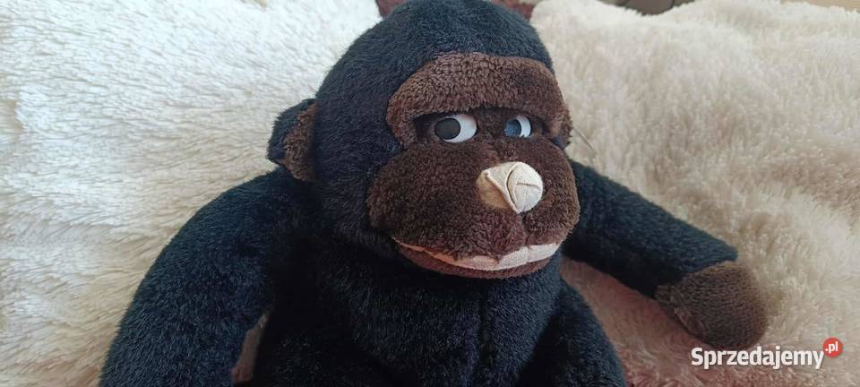 Goryl zabawka pluszowa z metką Warszawa sprzedam