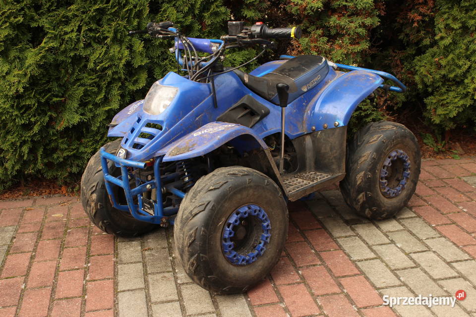 Quad BigFoot 125 automat 11 czterosuw benzyna Goleniów