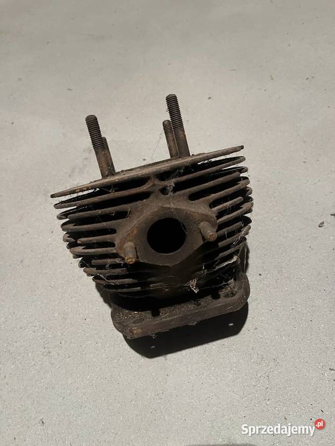 Cylinder Panonia pannonia