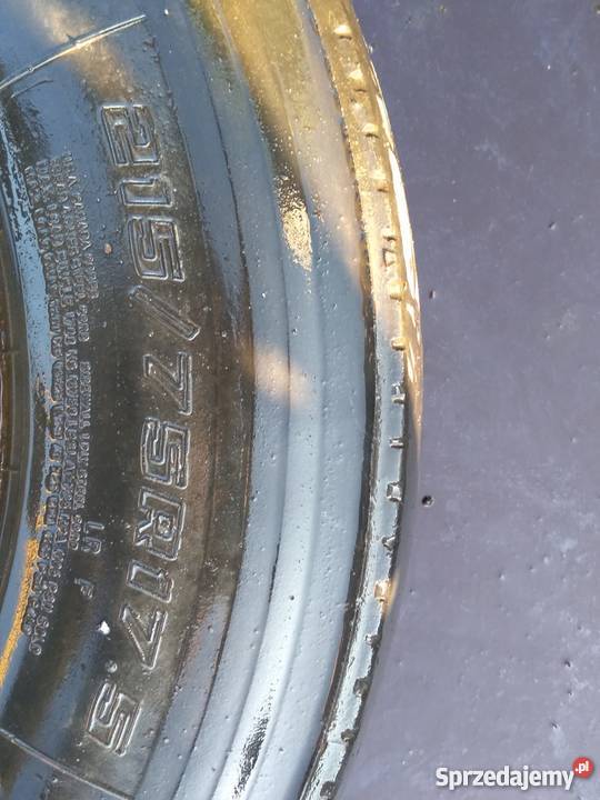 OPONA KOŁO SAVA AVANT A3 21575 R175 PRZÓD MAN 17cale