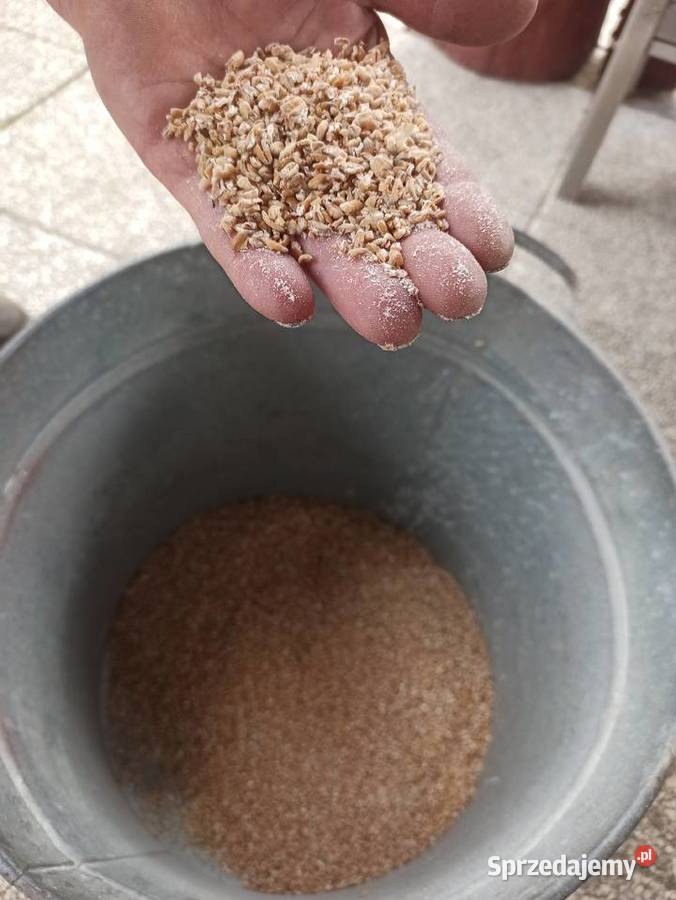 Młynek Gniotownik do zboża Sułków