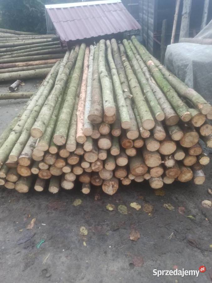 Stemple budowlane Kolbuszowa