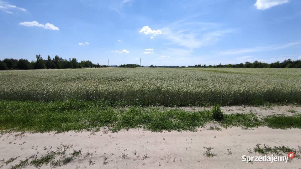 Grunty rolne ok 5 ha Sławacinek Stary gm Biała Biała Podlaska