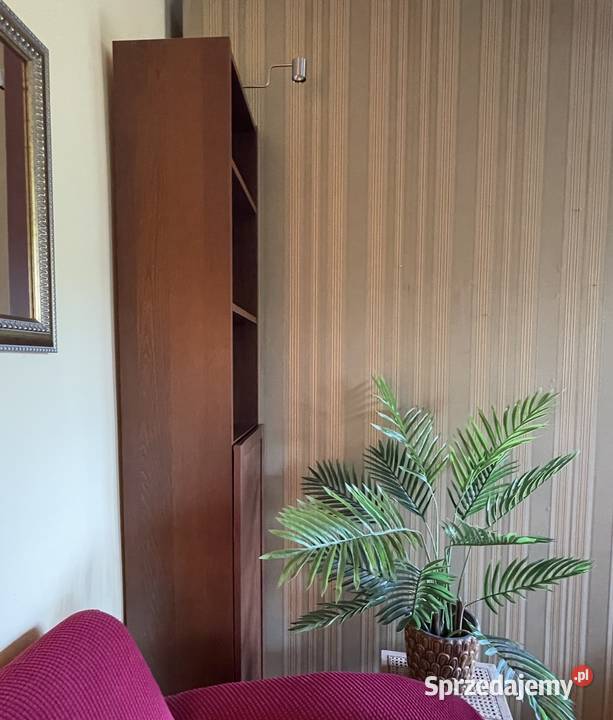 2 eleganckie regały z ciemnego drewna IKEA Billy Toruń