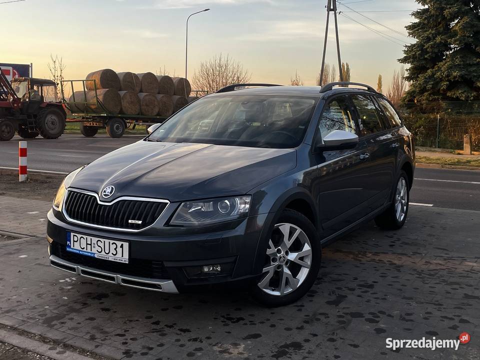 Skoda Octavia Scout 20 TDI 184 4x4 DSG wzorowy napęd 4x4 Chodzież