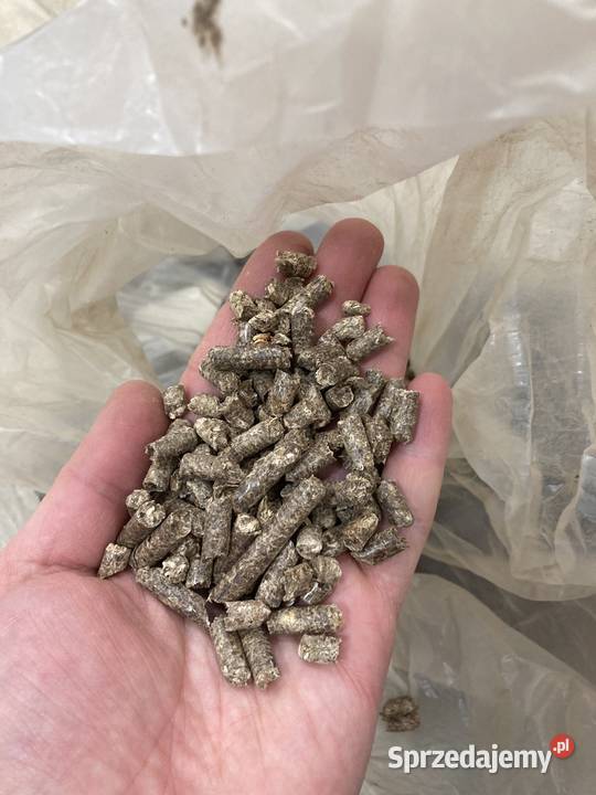 pellet z wierzby energetycznej mazowieckie