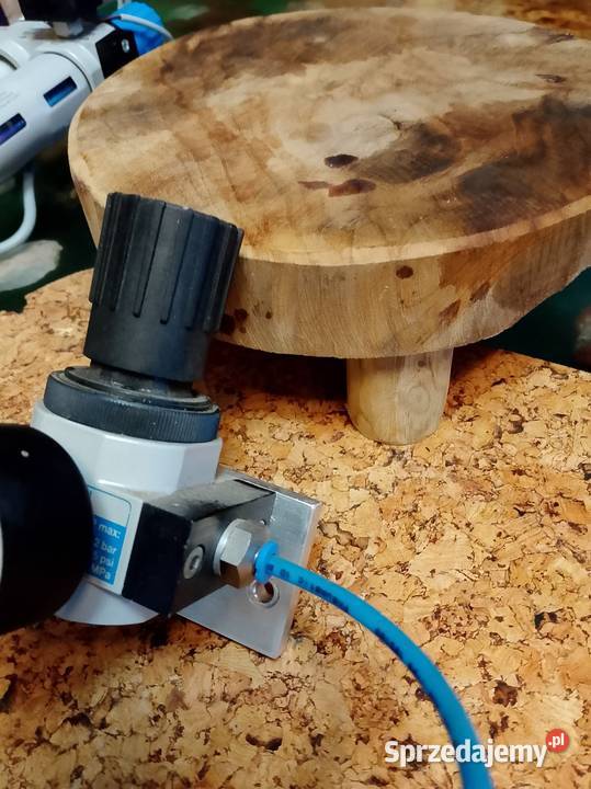 FESTO wielkopolskie Nowy Tomyśl