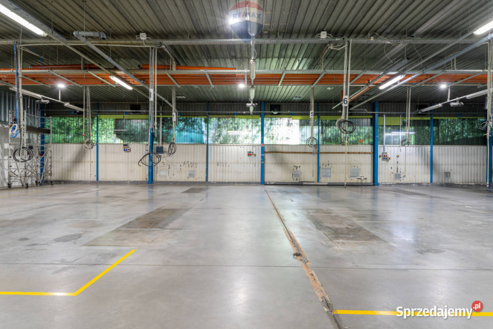 Unikalna hala w Wesołej idealna biznesu