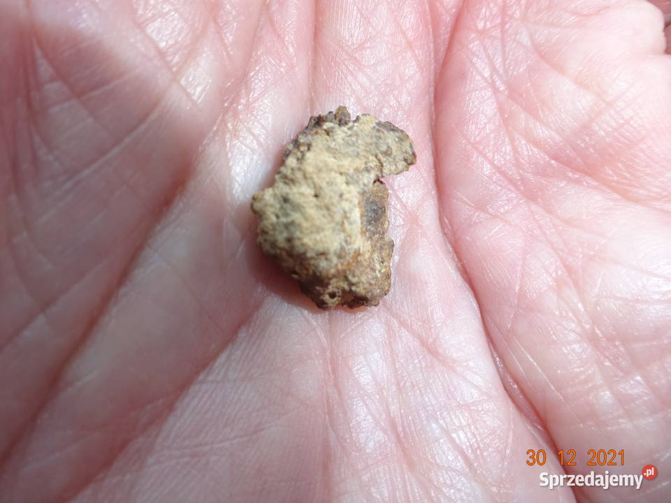 45 meteoryt Jiddat al Harasis 091 chondryt L6 Gorzów Wielkopolski