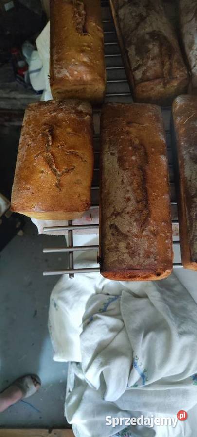 Chleb domowy żytni na zakwasie Białystok