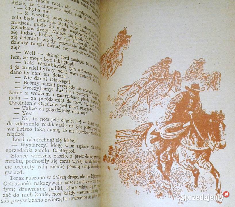 Skarb w Srebrnym Jeziorze Karol May Chełm sprzedam