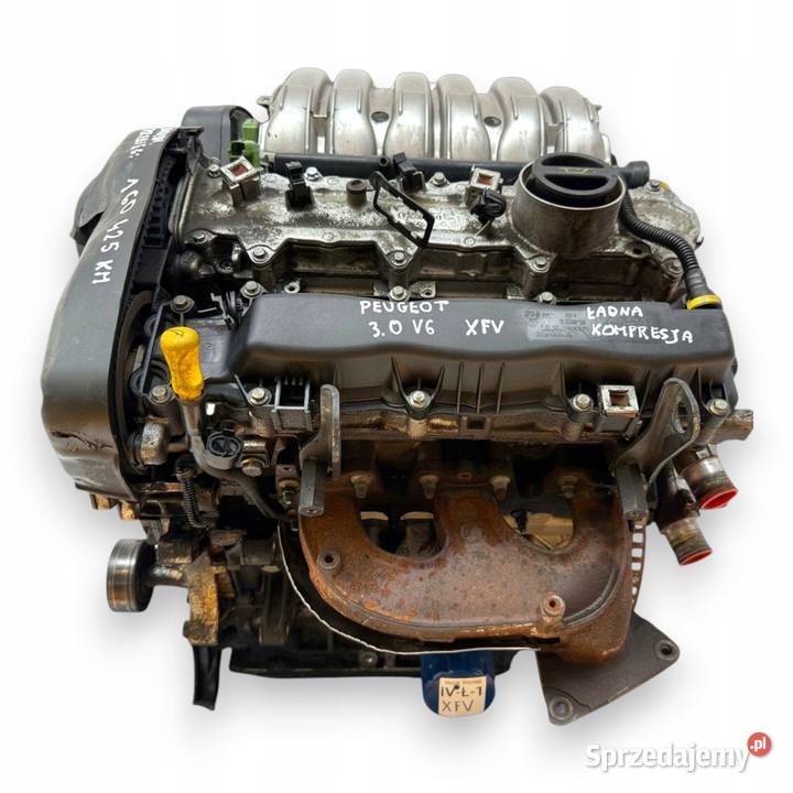 SILNIK XFV Citroen C5 III C6 Peugeot 407 607 30 osobowe Chełm