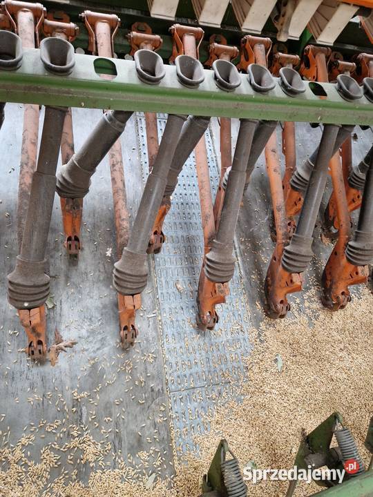 Siewnik 3m AMAZONE D8 SPECIAL 25 redlic wielkopolskie Witkowo sprzedam